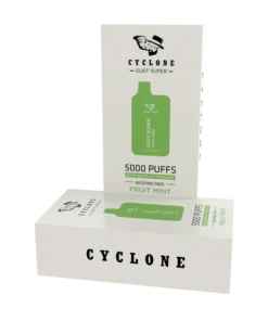 Nicotine Free Gust Super Fruit Mint Rechargeable Disposable