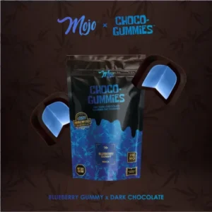 1714682802 mojo wm mi blueberry gummy x dark chocolate 510x510 1.webp