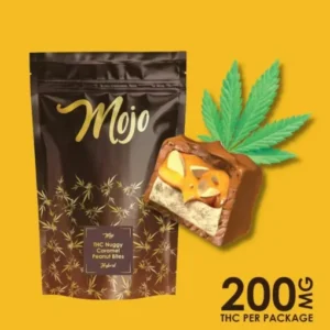 3084597 1696345288 1683732976 nuggy caramel bites 510x510 1.webp