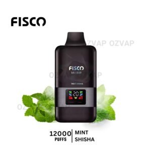 fisco mix bar 12000 puffs mint shisha 1.jpg