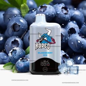 gcore rodeo g16000 blueberry ice 1.jpg