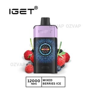 iget one 12000 puffs berries ice.jpg