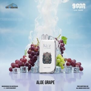 kuz lux 9000 puffs aloe grape 1.jpg