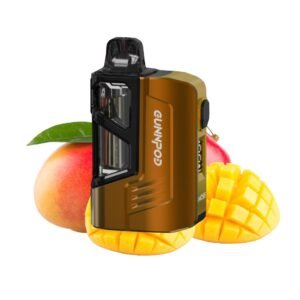 mango bliss.jpg