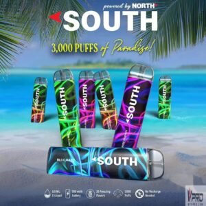 south 3000 puffs disposable north vape 184272090.jpg