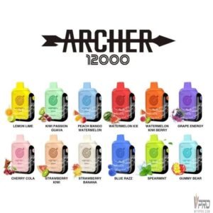 vapmod archer 12000 5 disposable vapmod 162701316.jpg
