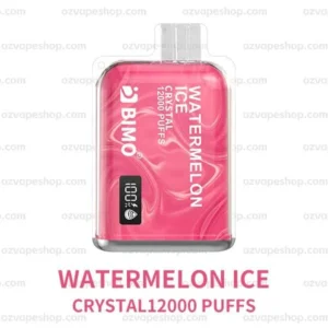 watermelon ice2.jpg.webp