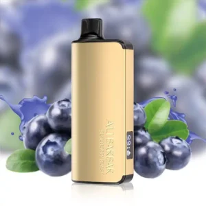 Home alibarbar ingot blueberry blast 9000 puffs ausvape direct.webp