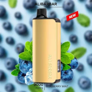 Home alibarbar ingot blueberry mint 9000 puffs ausvape direct.webp
