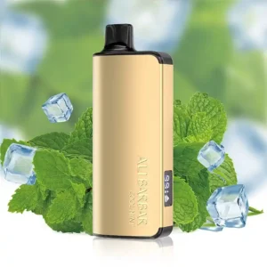 Home alibarbar ingot cool mint 9000 puffs ausvape direct.webp