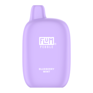blueberry mint flum pebble 600x600 10e0d638 1c84 4edd a9d6 01688a28af16.png