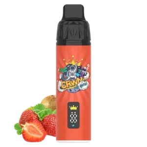 crwn kit strawberry kiwi 9 000.webp