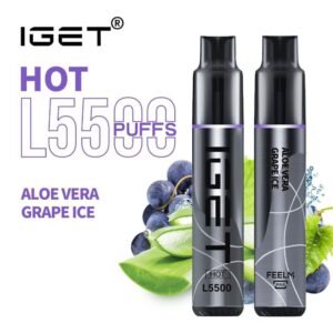 iget hot l5500 aloe vera grape ice 5500 puff disposable vape australia the vape bar buy iget vape online.jpg