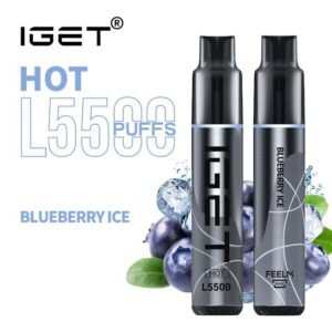 iget hot l5500 blueberry ice 5500 puff disposable vape australia the vape bar buy iget vape online 1.jpg