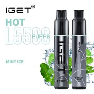 iget hot l5500 mint ice 5500 puff disposable vape australia the vape bar buy iget vape online.jpg