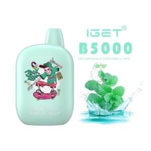 iget b5000 mountain spring mint disposable vape australia.jpg