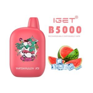 iget b5000 watermelon ice disposable vape australia 1.jpg