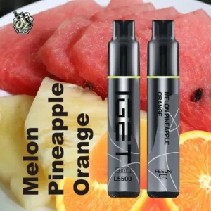 iget hot melon pineapple orange 5500.webp