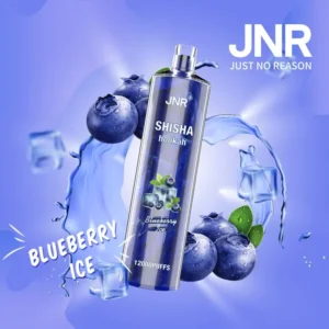 jnr shisha hookah blueberry ice 12 000 ausvape direct.webp