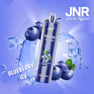 jnr shisha hookah blueberry mint 12 000 ausvape direct.webp