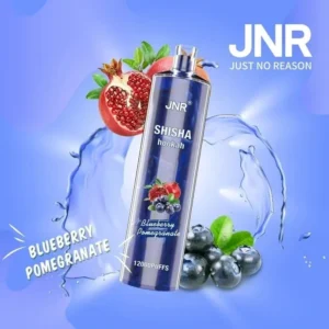 jnr shisha hookah blueberry pomegranate 12000 puffs ausvape direct.webp