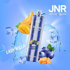 jnr shisha hookah lady killer 12 000 ausvape direct.webp