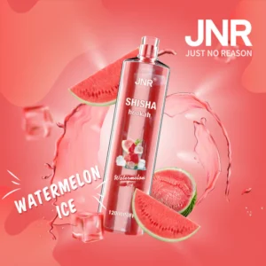 jnr shisha hookah watermelon ice 12 000 ausvape direct.webp