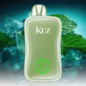 kuz flow 25000 puffs miami mint.jpg
