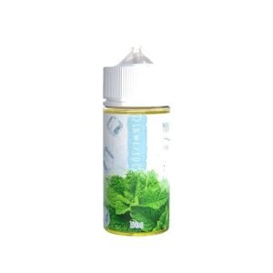 skwezed juice skwezed mint ice 100ml vape juice 32513113391215.jpg