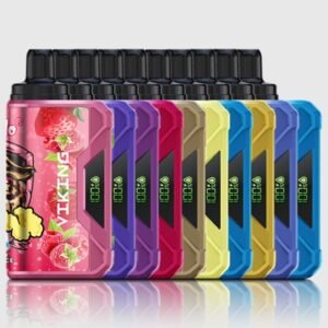 vapsolo viking 12000 puffs pack 10 items.jpg